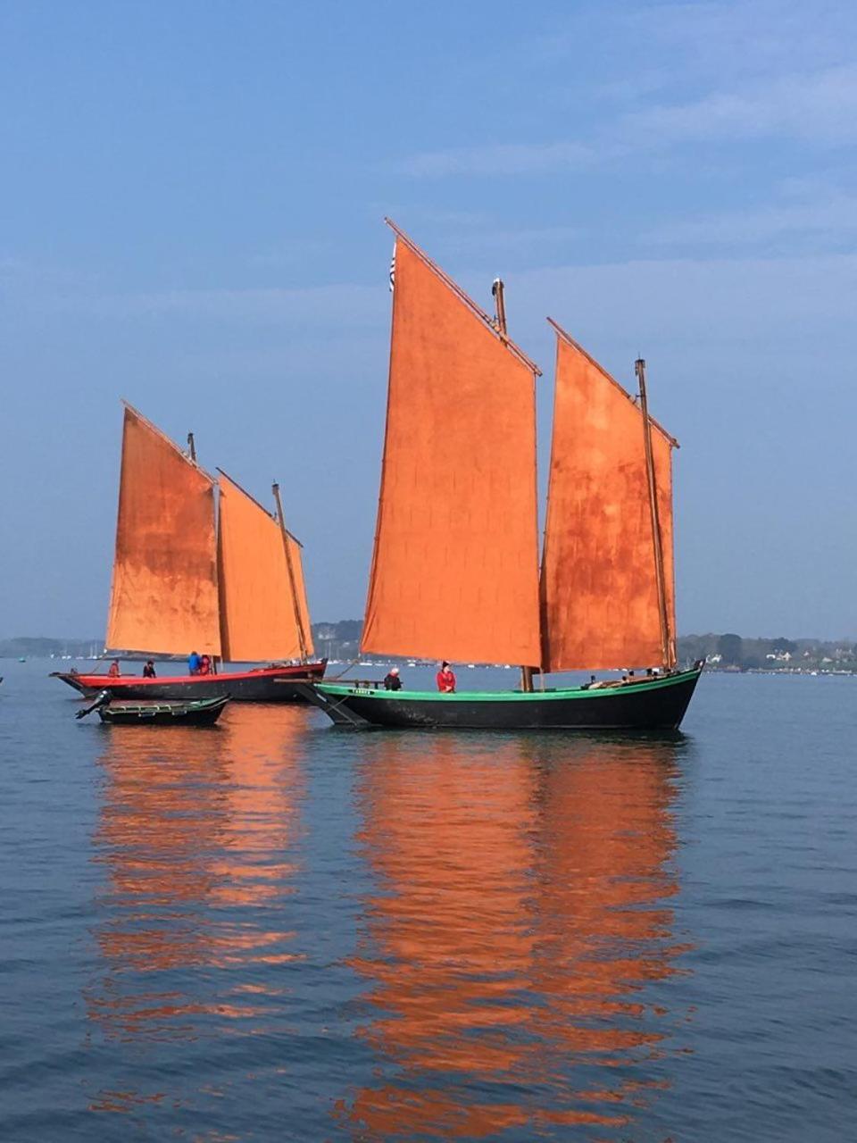 1 2 3 Chambres Entre La Presqu Ile De Rhuys Et Le Golfe Du Morbihan Theix Dış mekan fotoğraf